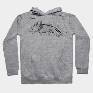 Line drawing - axolotl Hoodie